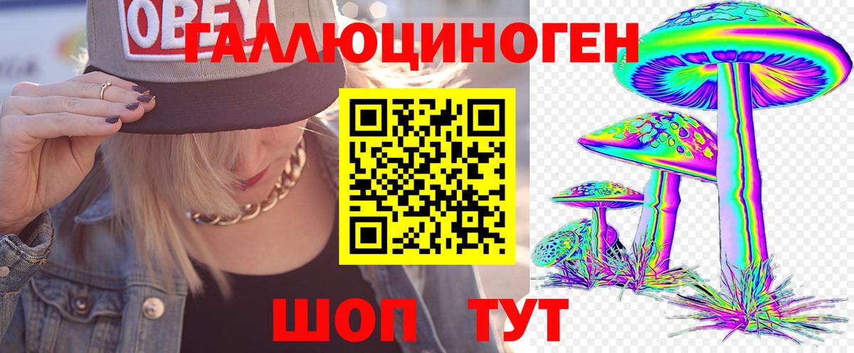 Алексеевка  Галлюциногенные грибы Cubensis  Вход с VPN 